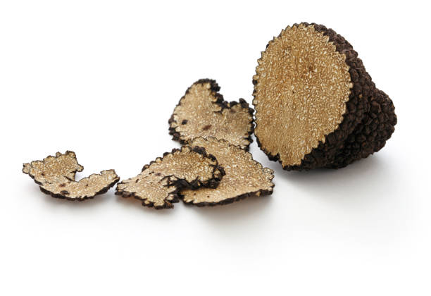 Schwarzer Herbsttrüffel (Tuber Uncinatum)