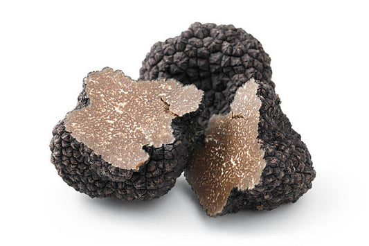 Schwarzer Herbsttrüffel (Tuber Uncinatum)