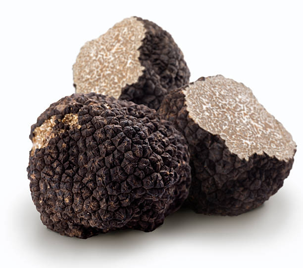 Schwarzer Herbsttrüffel (Tuber Uncinatum)