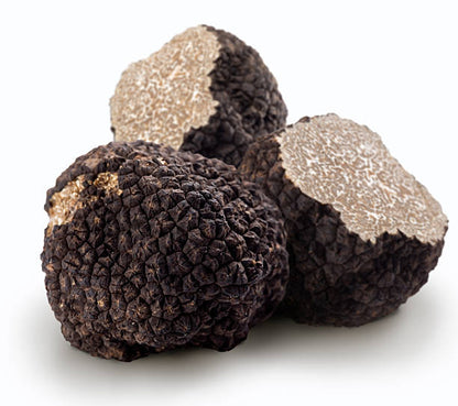 Schwarzer Herbsttrüffel (Tuber Uncinatum)
