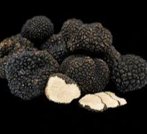 Schwarzer Sommertrüffel (Tuber Aestivum Vitt)