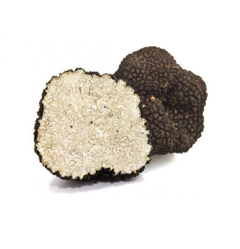 Schwarzer Sommertrüffel (Tuber Aestivum Vitt)