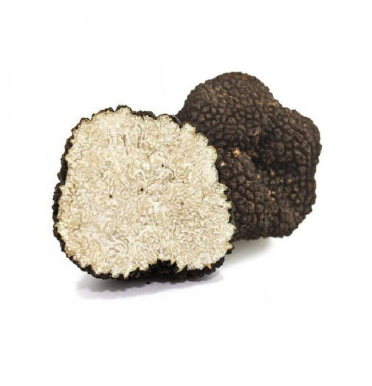Schwarzer Sommertrüffel (Tuber Aestivum Vitt)